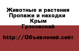 Животные и растения Пропажи и находки. Крым,Грэсовский